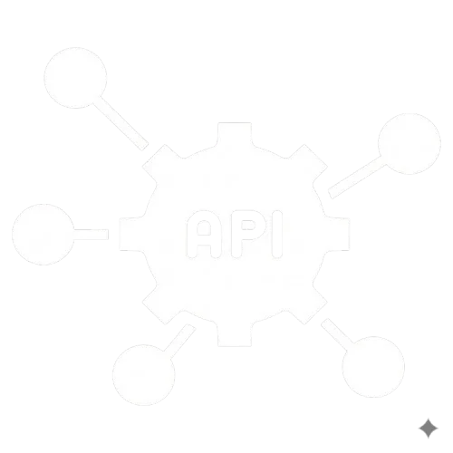 Open API